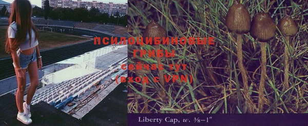 МДМА Нязепетровск