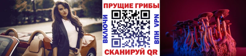 где купить наркоту  Ачинск  Галлюциногенные грибы прущие грибы 