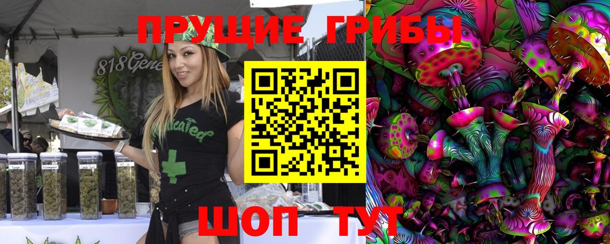 Галлюциногенные грибы Magic Shrooms  Галлюциногенные грибы Psilocybe  где купить наркоту  Ачинск  Вход с VPN 