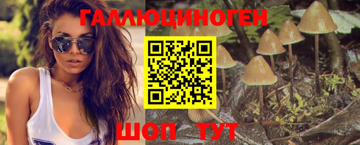 Псилоцибиновые грибы MAGIC MUSHROOMS Ачинск