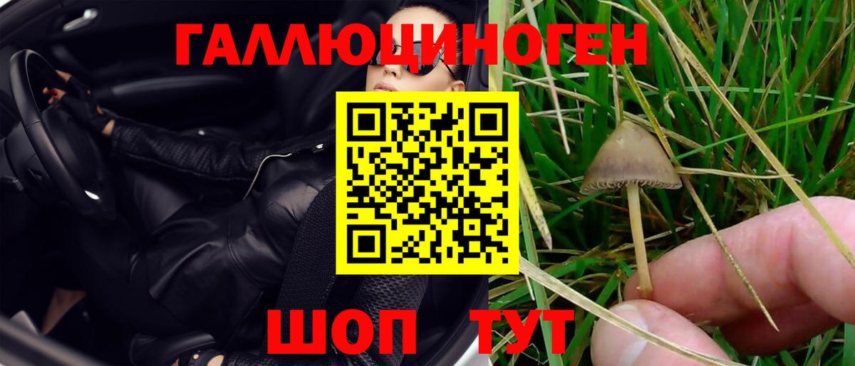 Псилоцибиновые грибы Psilocybine cubensis  цена   Ачинск 