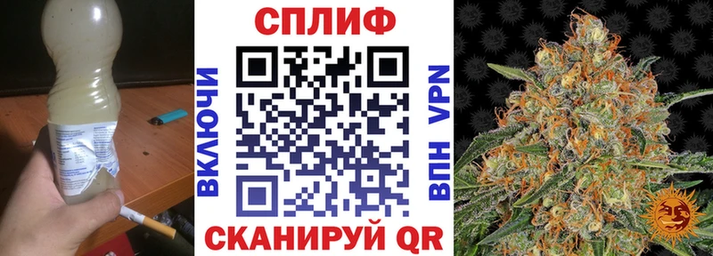 дарнет шоп  Ачинск  Конопля семена 